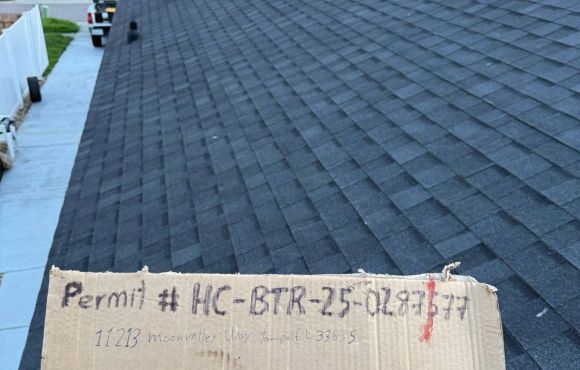 Tampa, FL – Shingle Roof