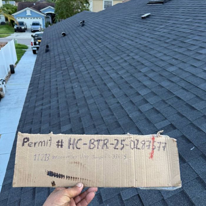 Tampa Shingle Roof – Architectural Replacement, FL